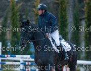 Lucky della Verdina Tosc Tour2013- S5 1959 : Arezzo, Cavalli d'Italia, Lucky della Verdina, Toscana Tour 2013, foto di Stefano Secchi ©